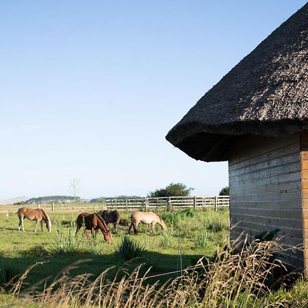 Los Chaja Ecolodge 바라 데 발리자스 외부 사진