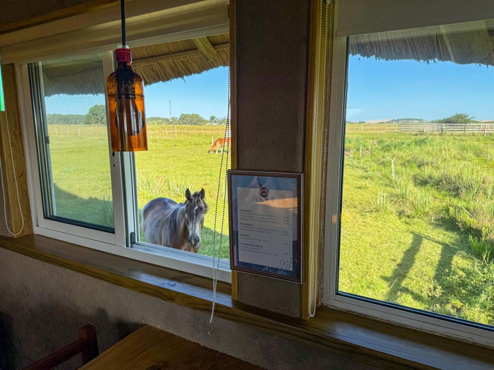Los Chaja Ecolodge 바라 데 발리자스 외부 사진