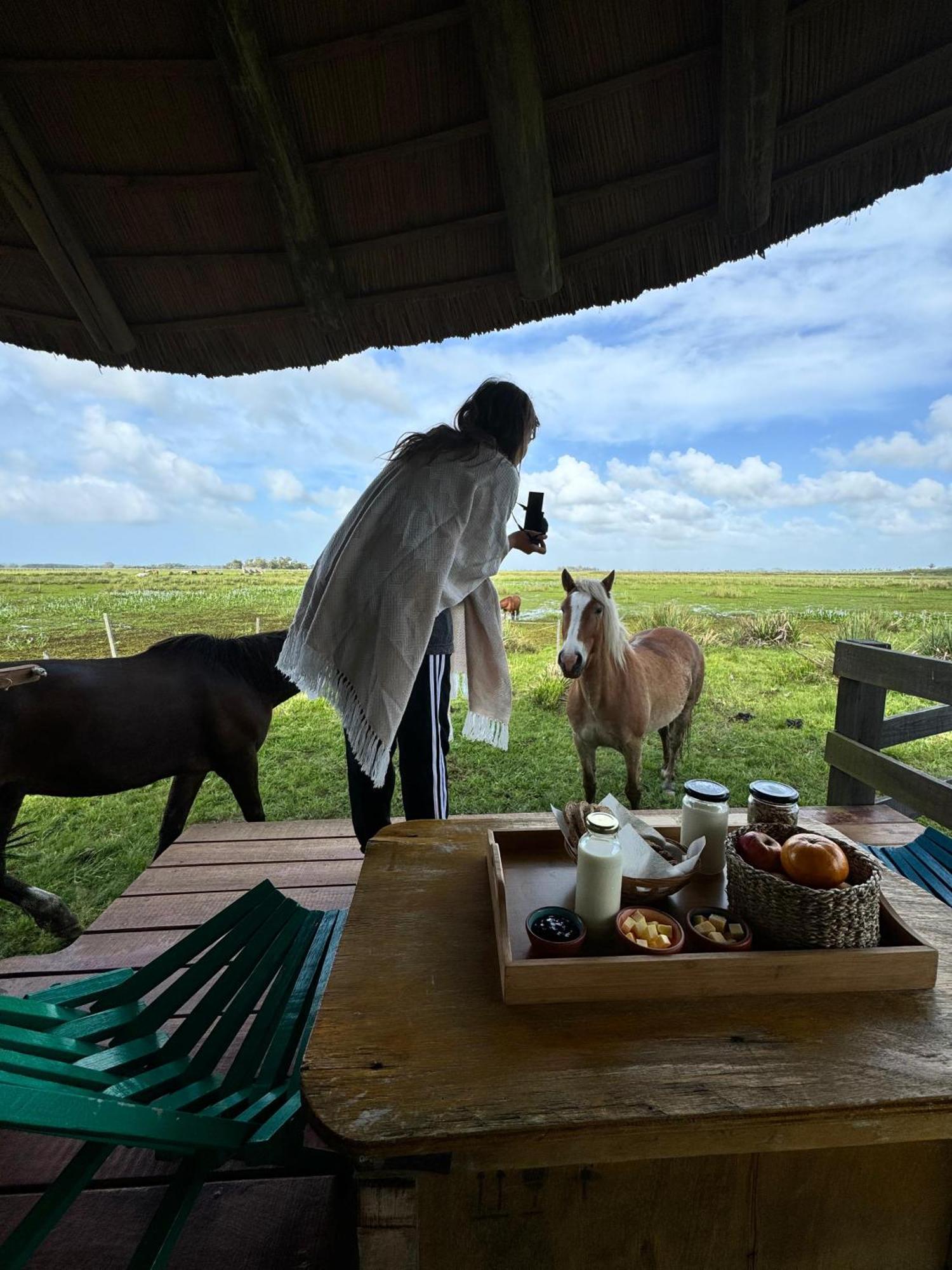 Los Chaja Ecolodge 바라 데 발리자스 외부 사진